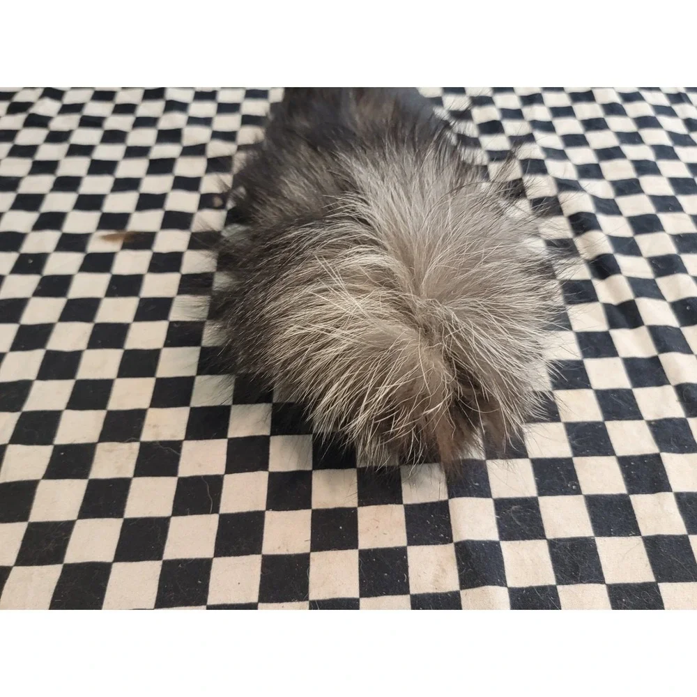Real Fox Fur Tail – FULL LENGTH | Tanned | Bushy w/ White Tip | Craft / Fly...